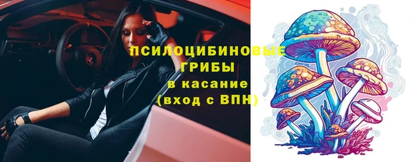 стаф Анжеро-Судженск