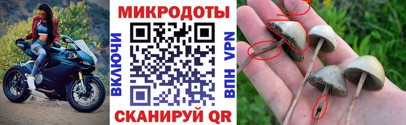мега как войти  Кукмор  Псилоцибиновые грибы прущие грибы 